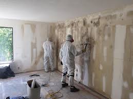 Why You Should Choose Our Mold Remediation Services in Dodgeville, WI